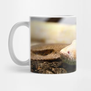 Snake III / Swiss Artwork Photography Mug